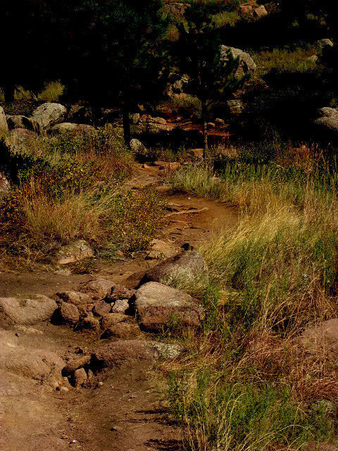 hall ranch mtb